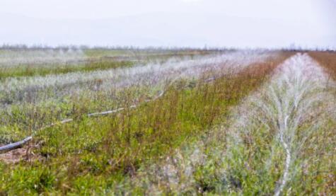 山西萬畝中藥材采用軟體集雨水窖+智能水肥一體化，增產(chǎn)顯著